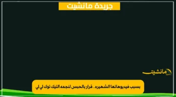 بسبب فيديوهاتها الشهيرة.. قرار بالحبس لنجمة التيك توك لي لي